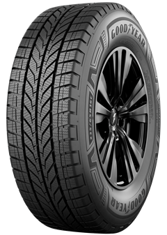 225/65R16C 112/110T WINT COMMAND CARGO
